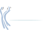 bebo Foundation